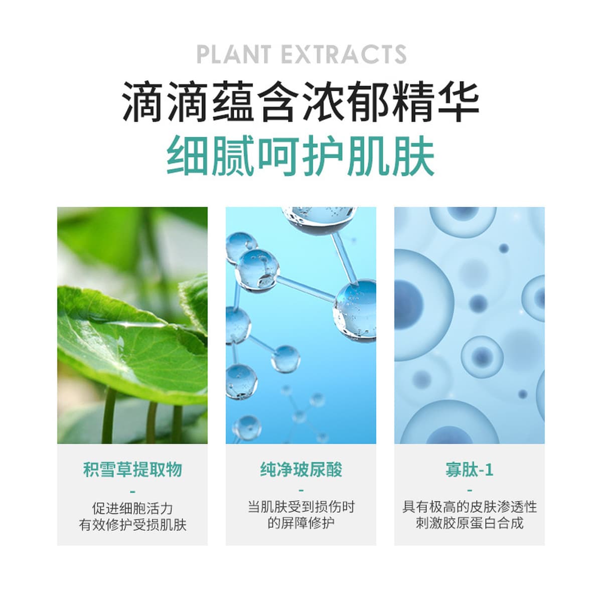 Красная линия красной крови салона красоты успокаивает сыворотку с полиолигопептидной чувствительной мышечной...