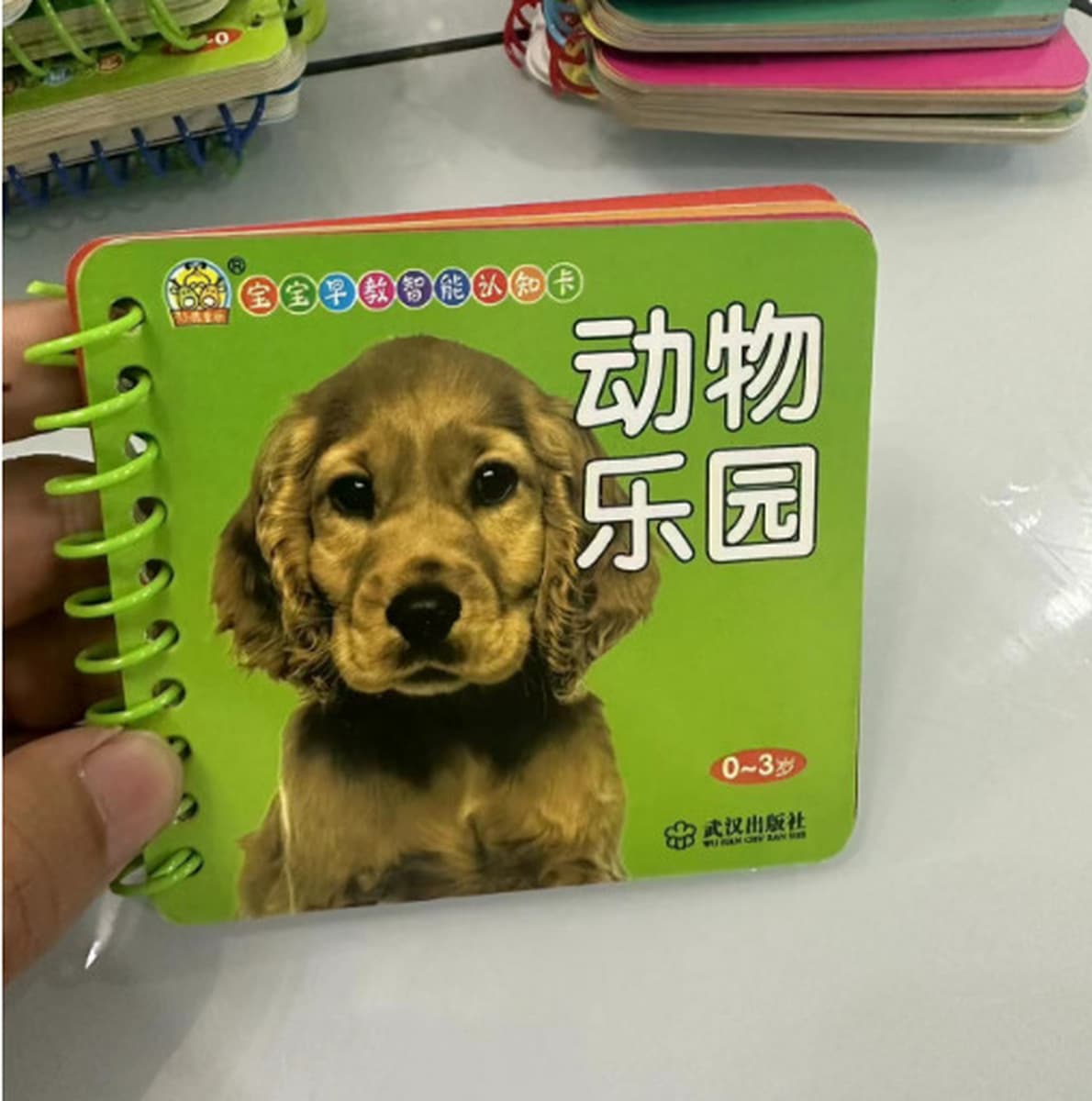 Развивающие карточки для малышей, износостойкая книжка-флипбук для детей 0-3-6 лет, распознавание изображений, распознавание...