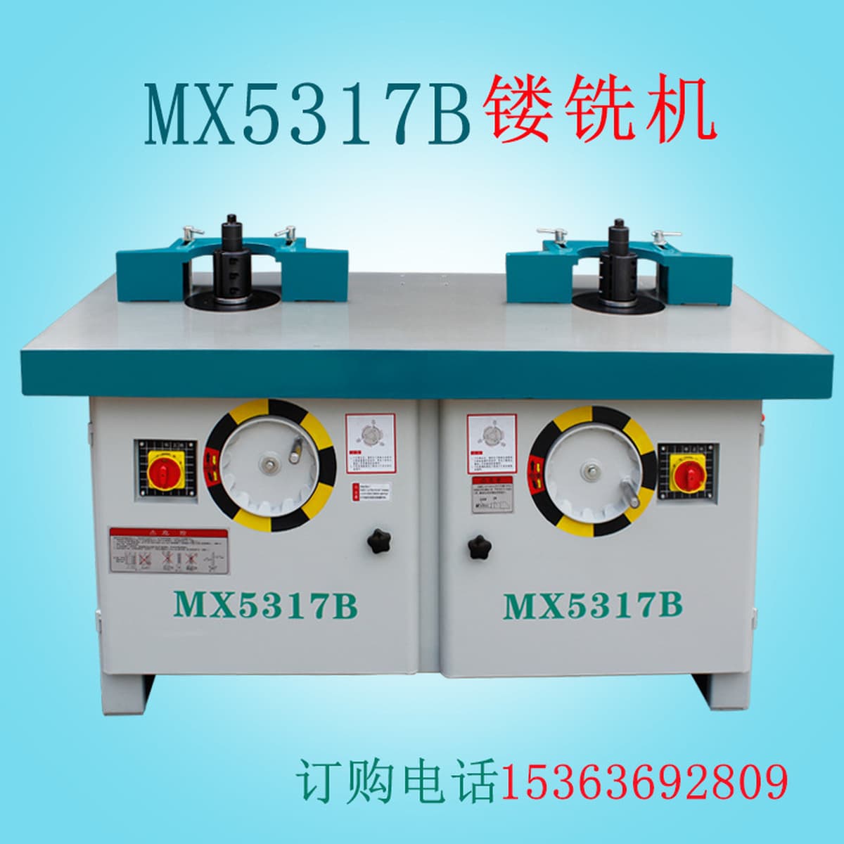 Деревообрабатывающее оборудование и оборудование MX5317B, вертикальный двухосный гравировальный фрезерный станок,...