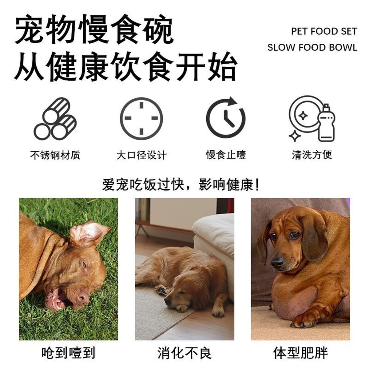 Amazon 304 из нержавеющей стали для домашних животных медленная пища миска