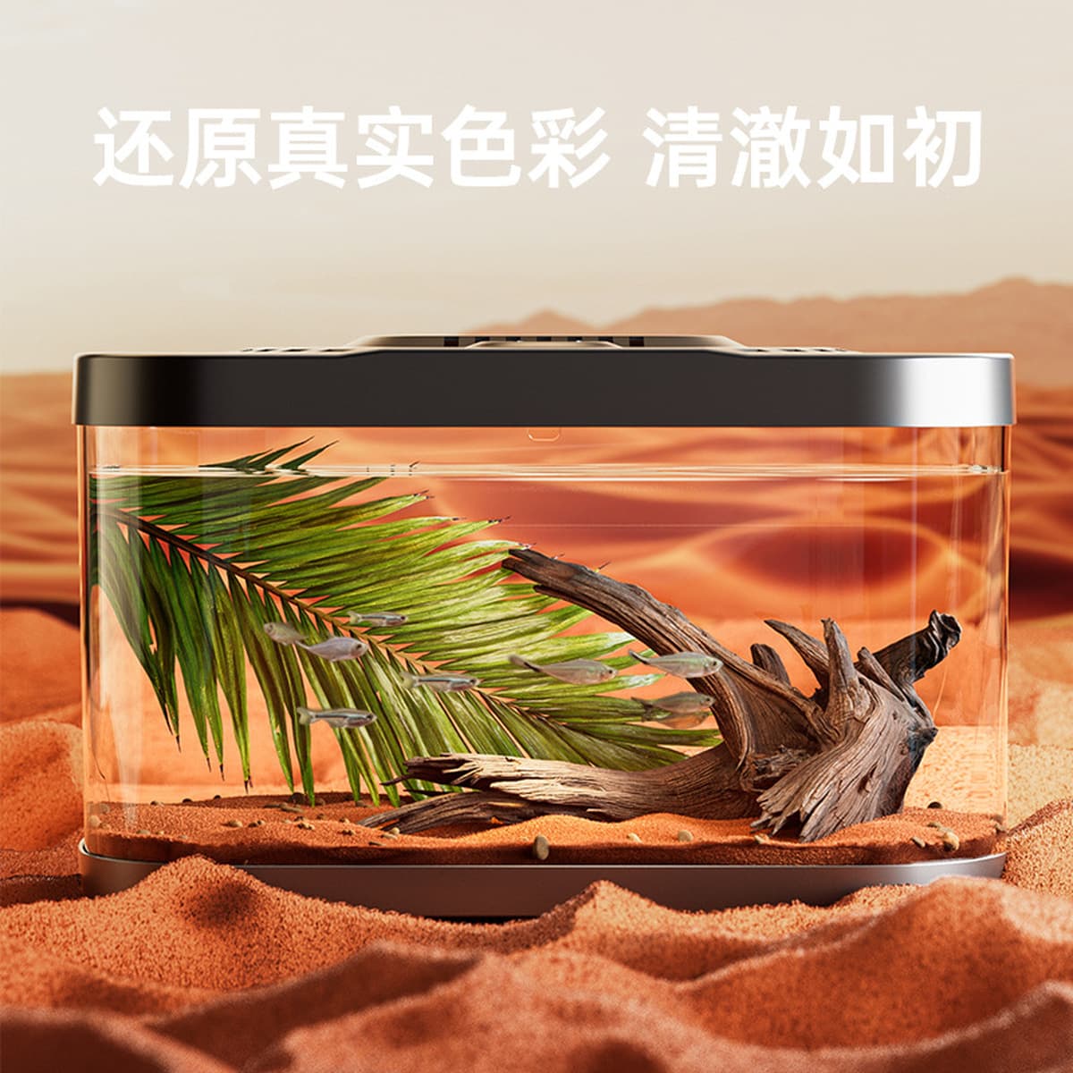 Прозрачный пластиковый аквариум аквариум микро-ландшафтный офис декоративный черепаха аквариум для домашних животных товары...