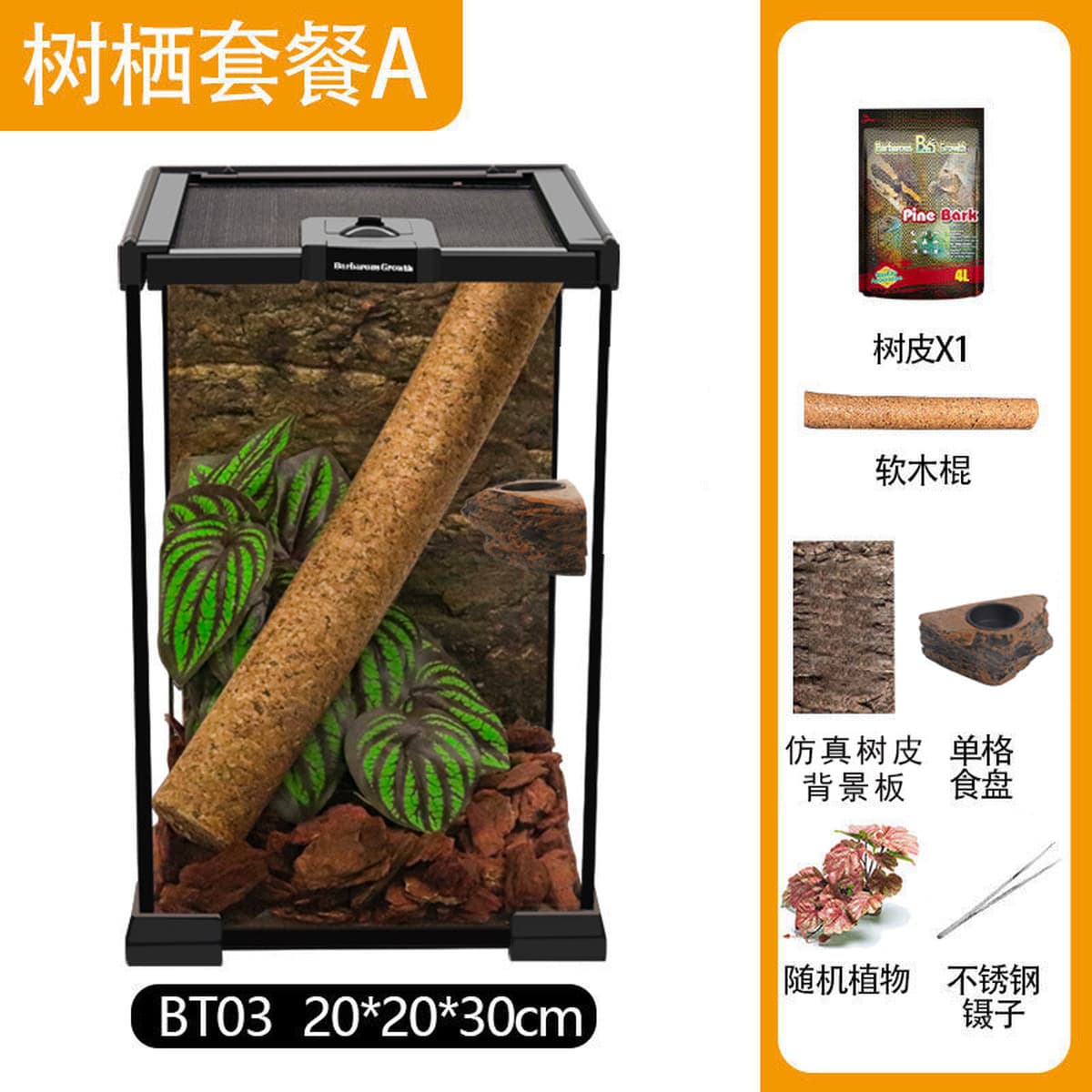 Jar Rainforest стеклянная коробка для кормления домашних животных ящик для лазания ящерица экологическая банка угловая...