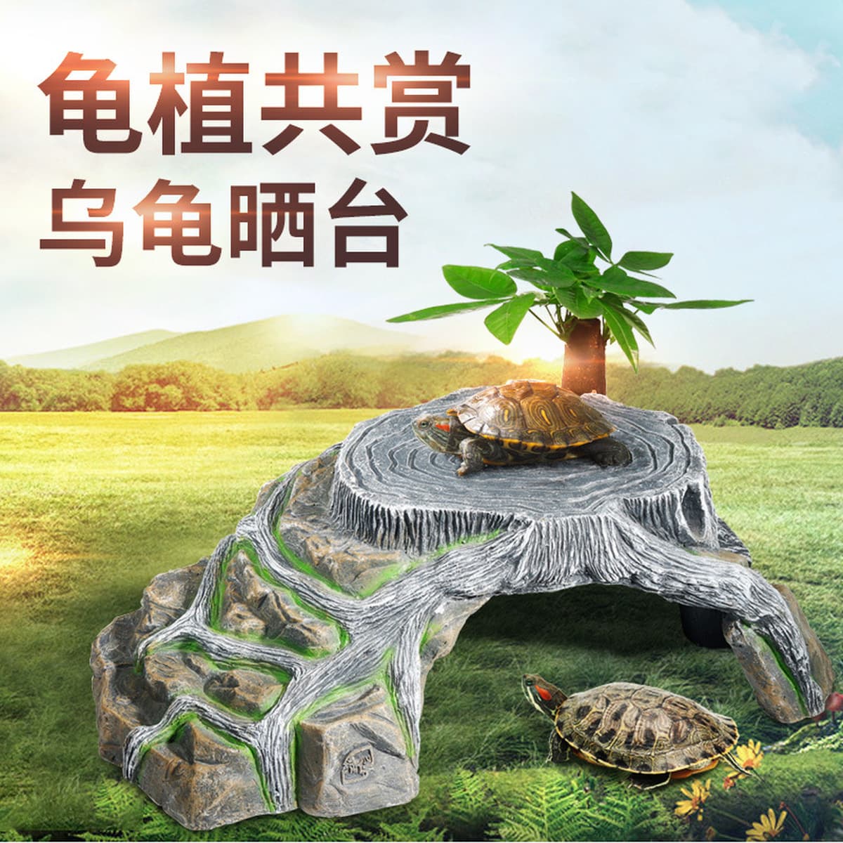Принадлежности для выращивания черепах маленькая черепаха скала черепаха бак для черепах стол для лазания маленький мини...