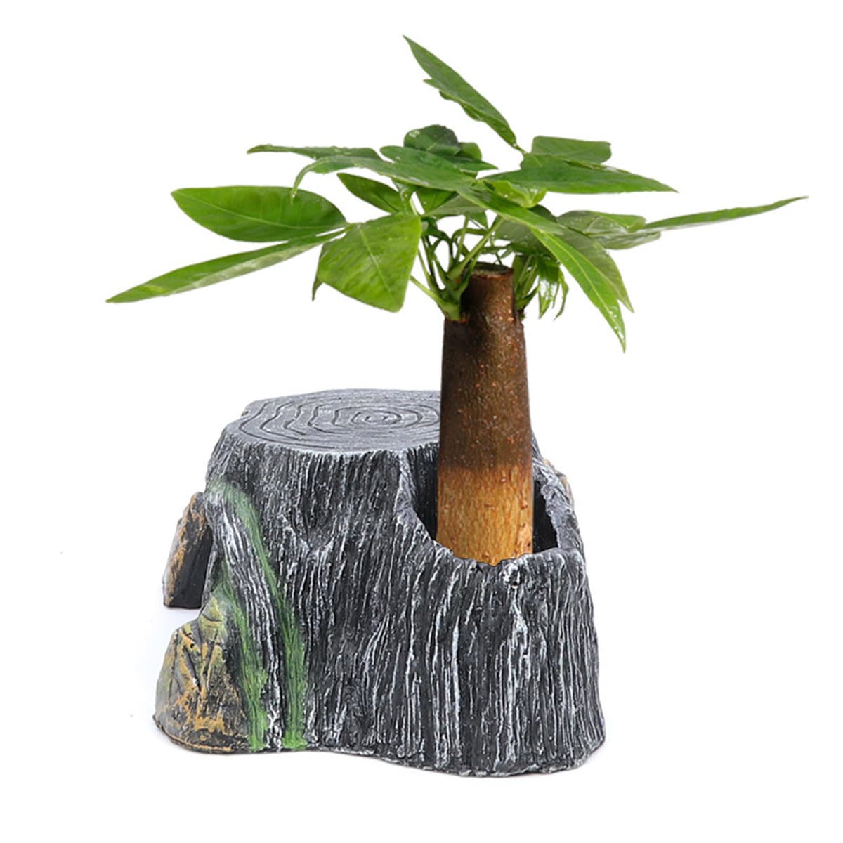 Принадлежности для выращивания черепах маленькая черепаха скала черепаха бак для черепах стол для лазания маленький мини...