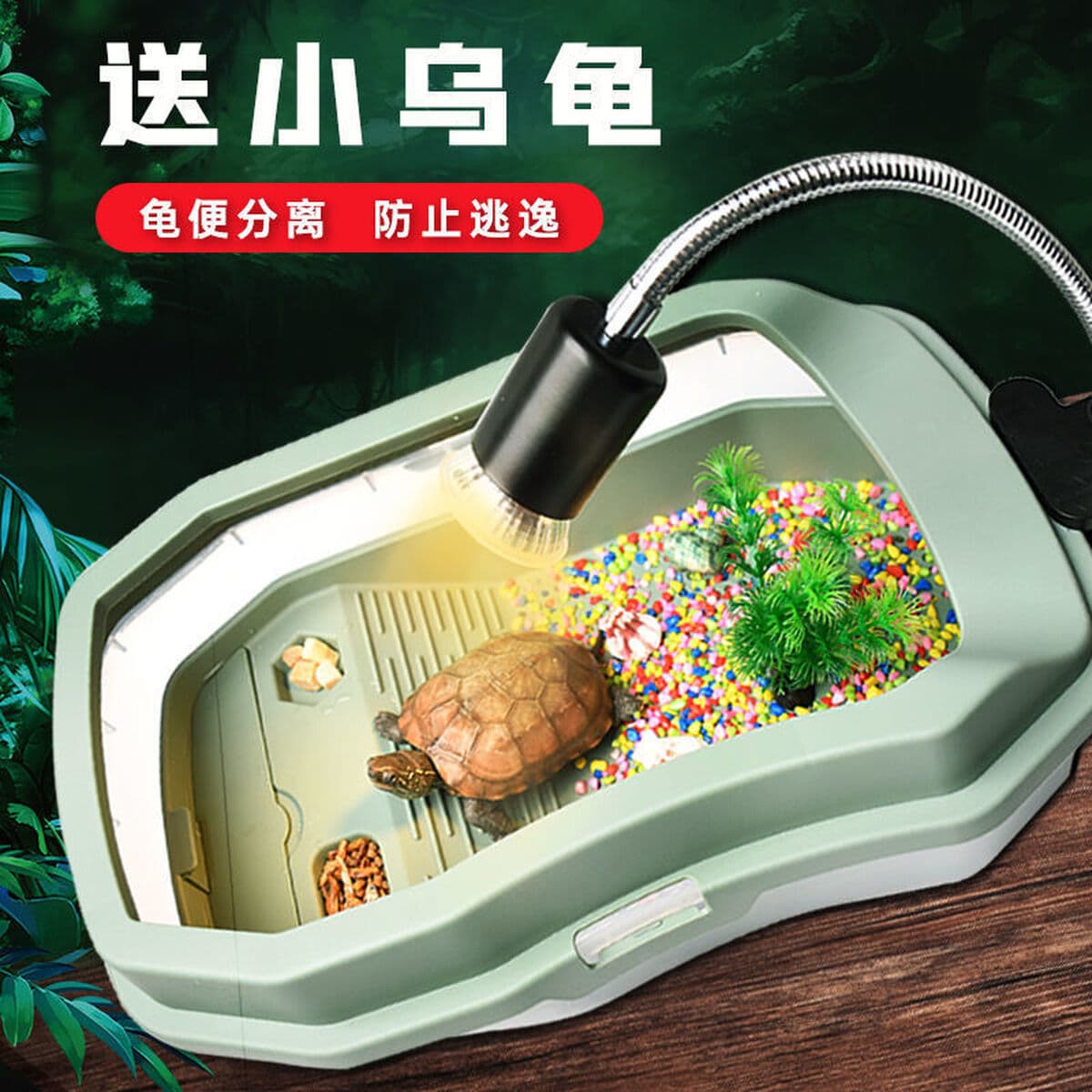 Черепаховая раковина с горшком для загара ландшафтная вилла