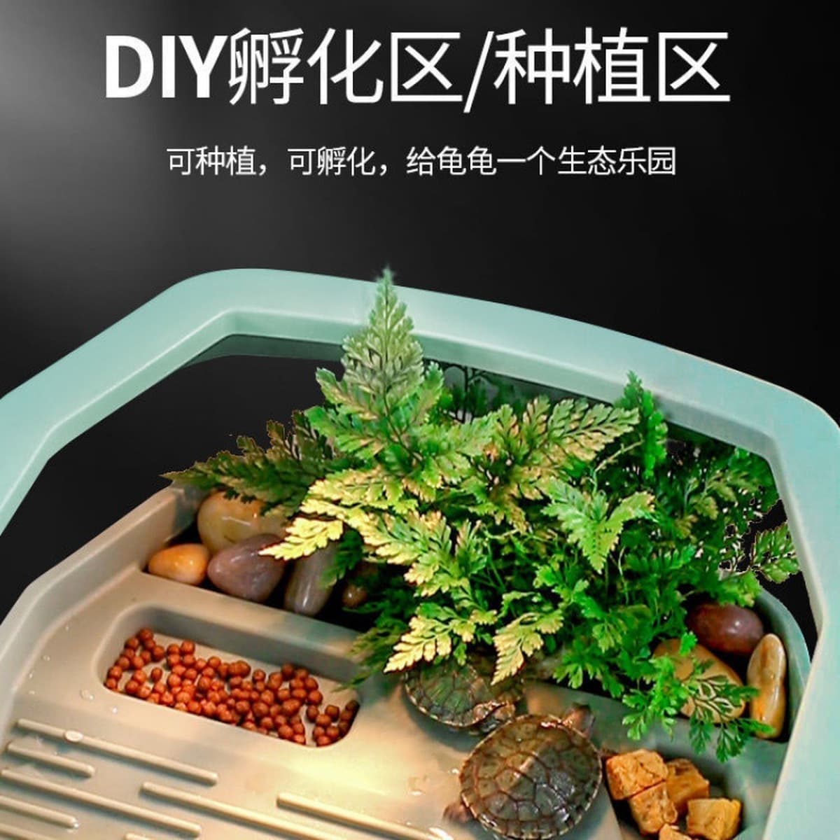 Черепаховая раковина с горшком для загара ландшафтная вилла