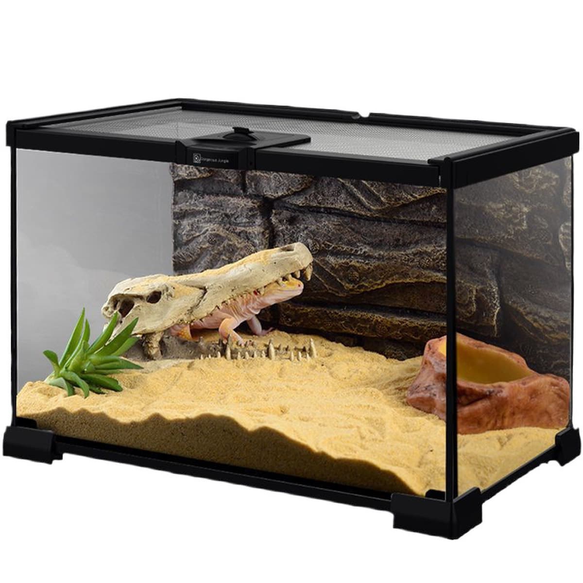 Стеклянный резервуар для тропических лесов, ящик для разведения рептилий, ящик для разведения ящериц, экологический...