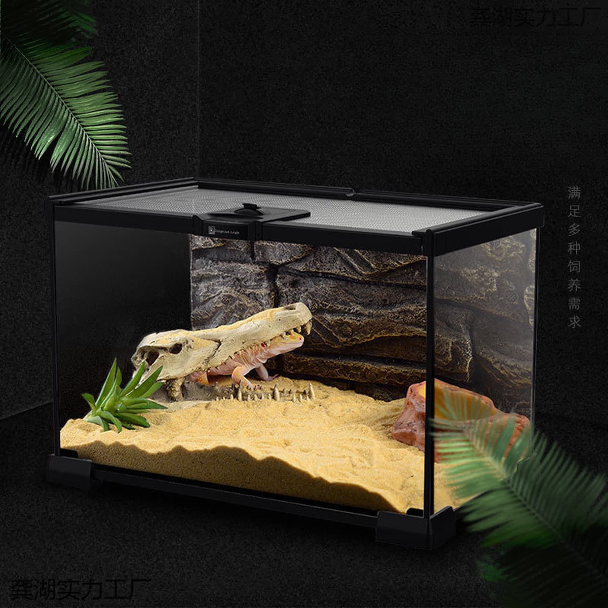 Стеклянный ящик для разведения рептилий, ящик для разведения ящериц, экологический резервуар, рогатая лягушка, ящик для...