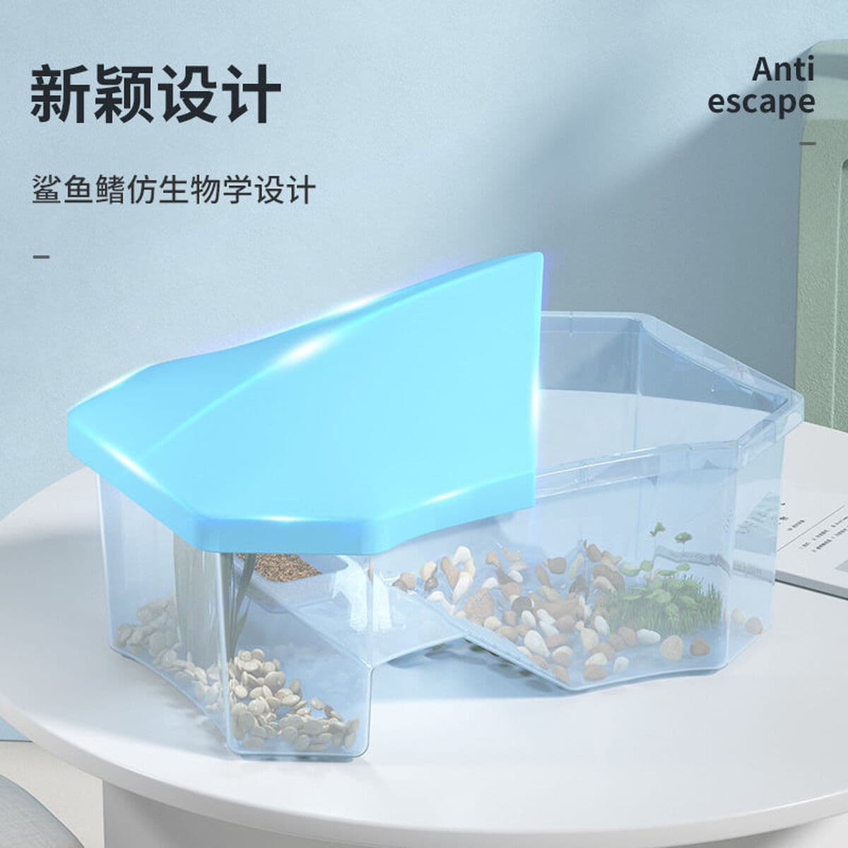 Ложный небесный резервуар с черепахами