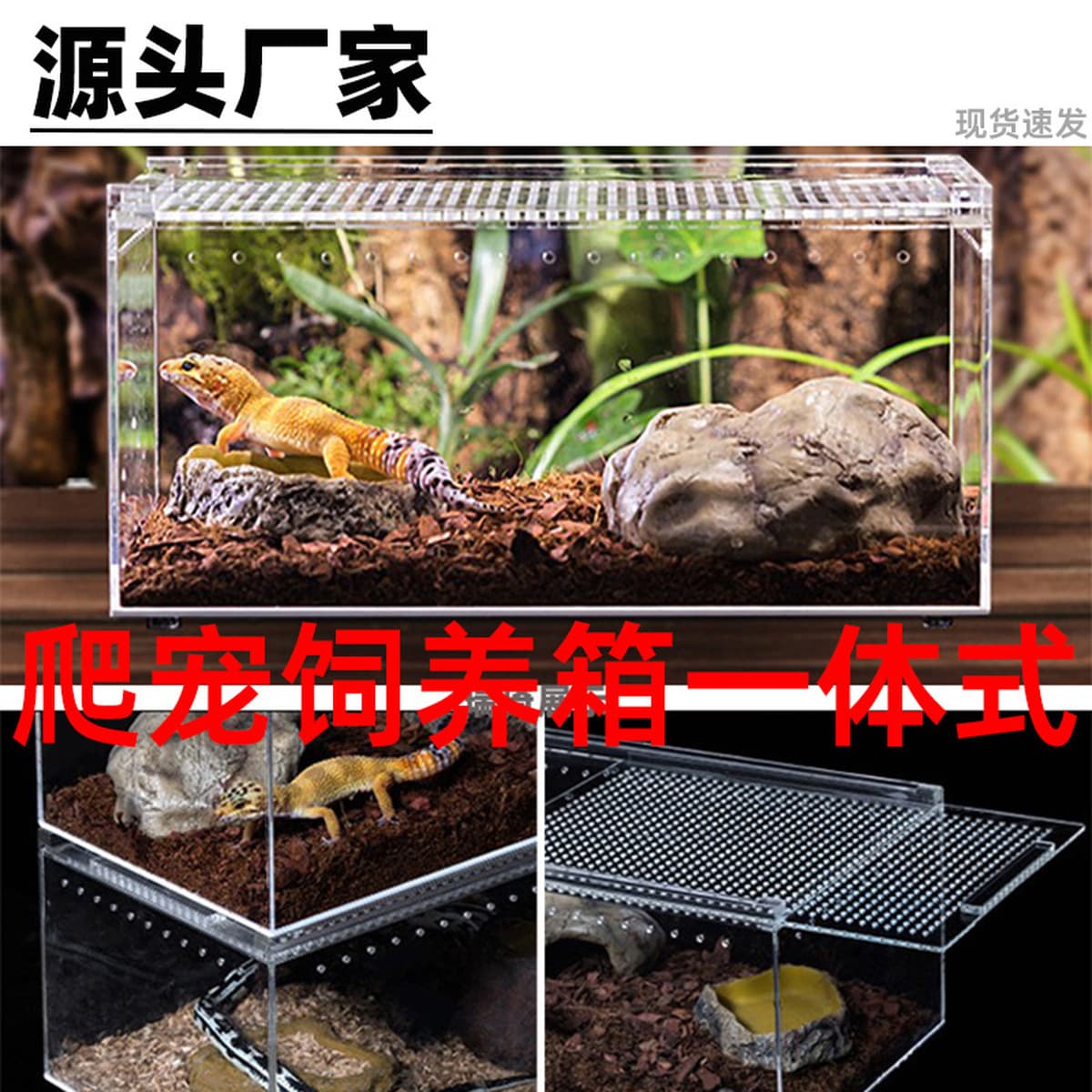 Акриловый герметичный террариум для пауков, рогатых лягушек, гекконов, змей, рептилий, в наличии и готов к отправке.