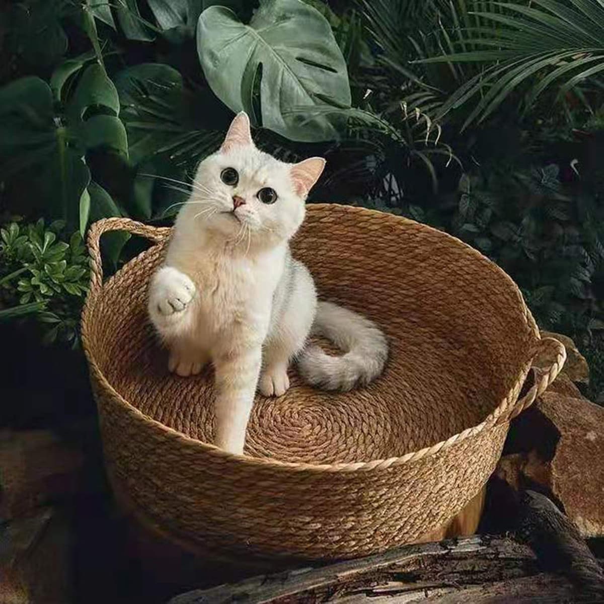 Ротанговое кошачье гнездо Four Seasons Универсальный кибер-знаменитость Зимний теплый кашпо Кошачья кровать Кошачья...