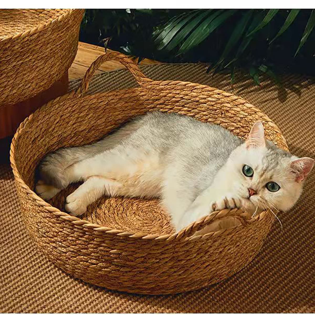 Ротанговое кошачье гнездо Four Seasons Универсальный кибер-знаменитость Зимний теплый кашпо Кошачья кровать Кошачья...