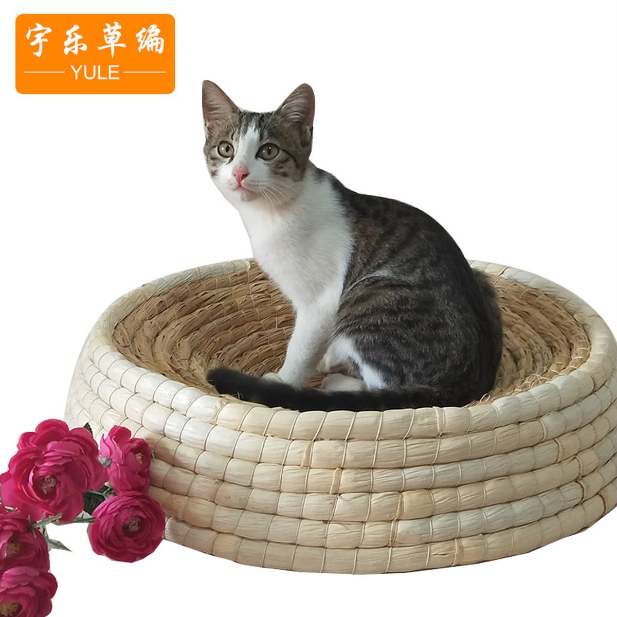 Гнездо для домашних животных Летнее кошачье гнездо Большое гнездо для домашних животных Кошка Когтеточка Собачье гнездо...
