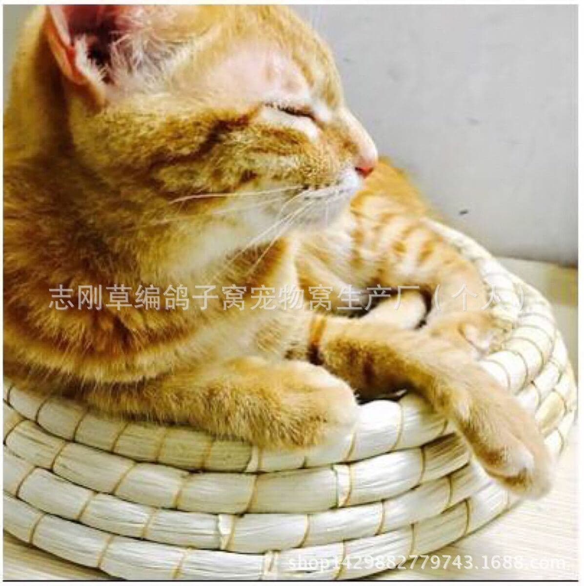 Гнездо для домашних животных Летнее кошачье гнездо Большое гнездо для домашних животных Кошка Когтеточка Собачье гнездо...