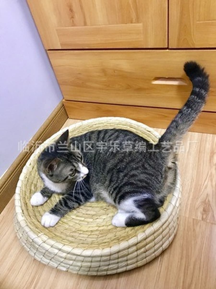 Гнездо для домашних животных Летнее кошачье гнездо Большое гнездо для домашних животных Кошка Когтеточка Собачье гнездо...