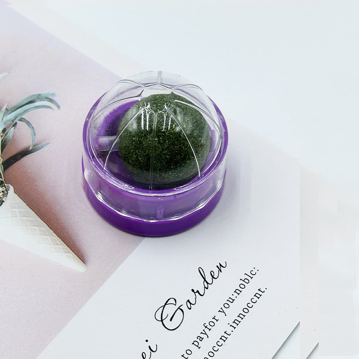 Игрушки для кошек: мячик с кошачьей мятой, палочка для прорезывания зубов, игрушки для самостоятельных игр, игрушки для...