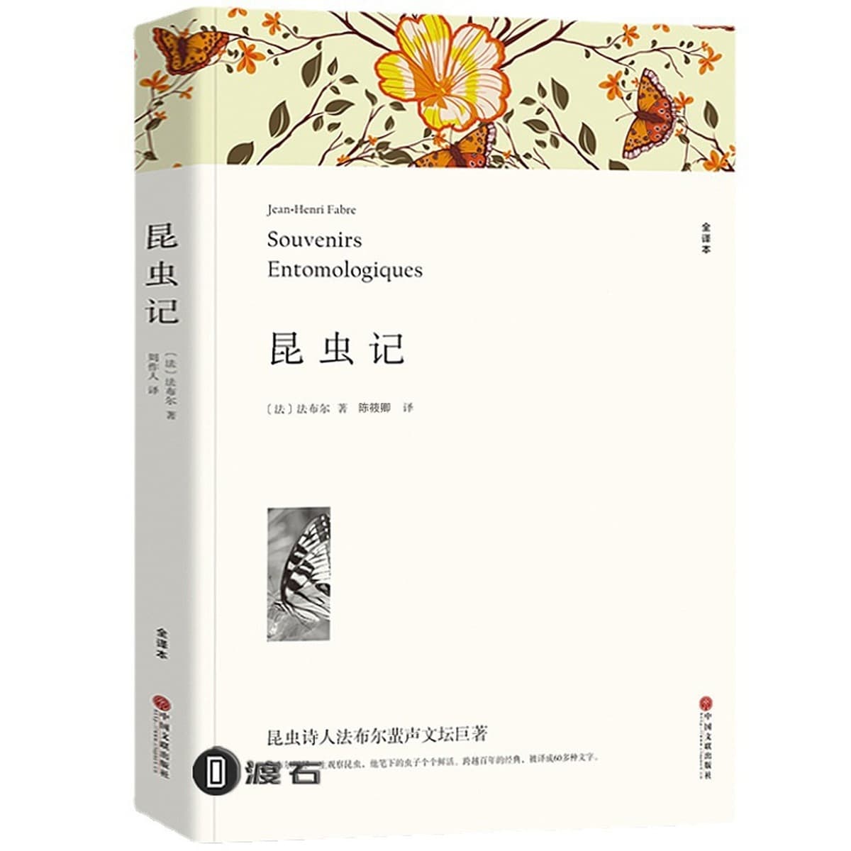 Литературные романы, отборные книги, книги для внеклассного чтения для учащихся средних и старших классов, дропшиппинг