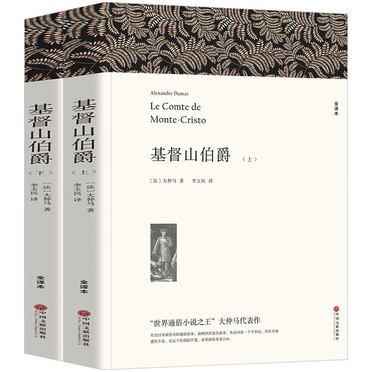 Литературные романы, отборные книги, книги для внеклассного чтения для учащихся средних и старших классов, дропшиппинг