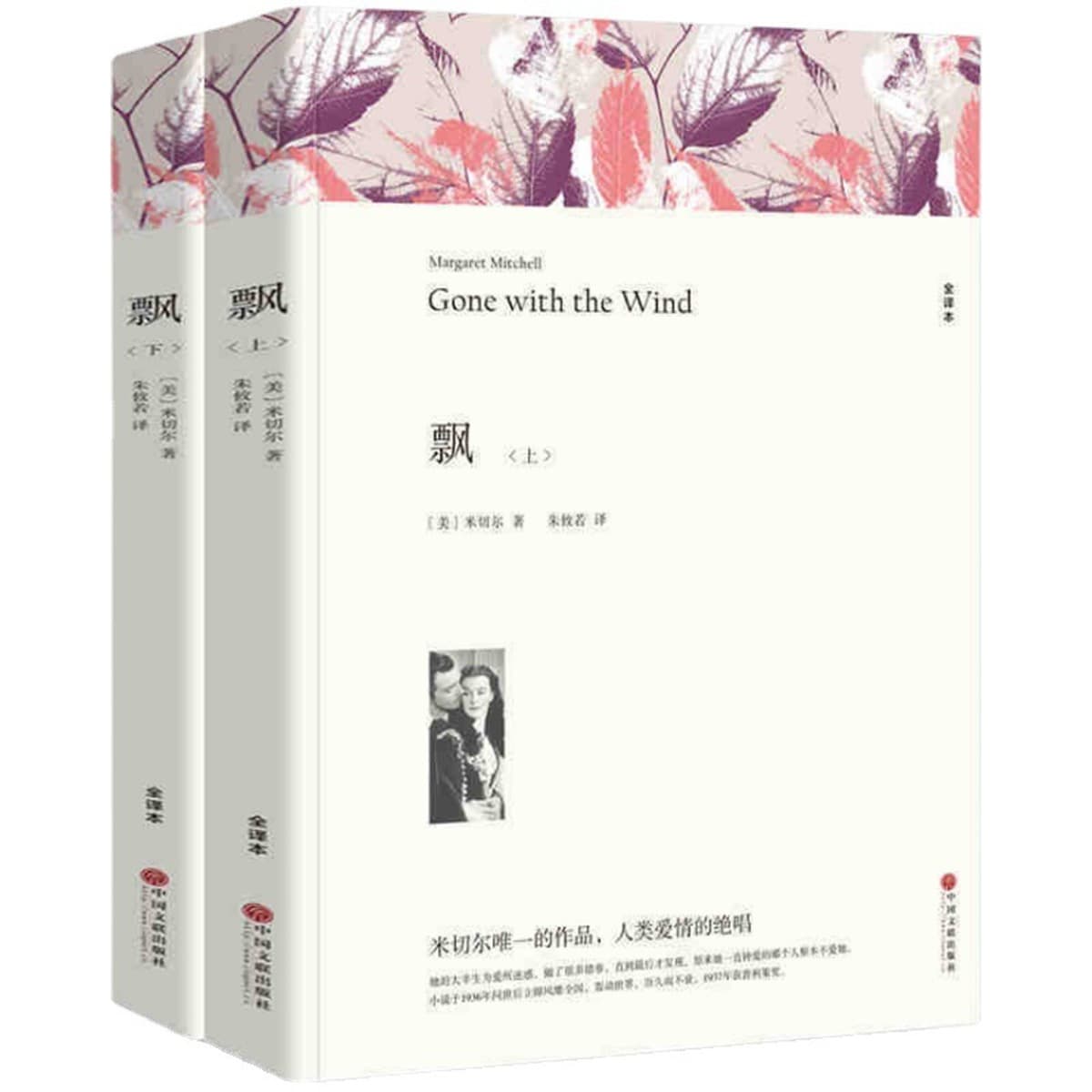 Литературные романы, отборные книги, книги для внеклассного чтения для учащихся средних и старших классов, дропшиппинг