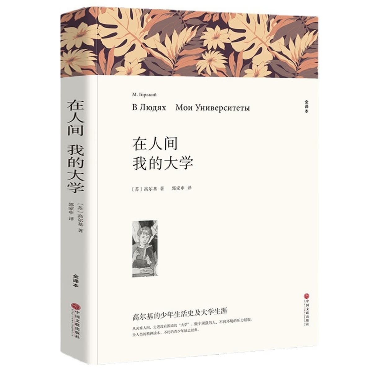 Литературные романы, отборные книги, книги для внеклассного чтения для учащихся средних и старших классов, дропшиппинг