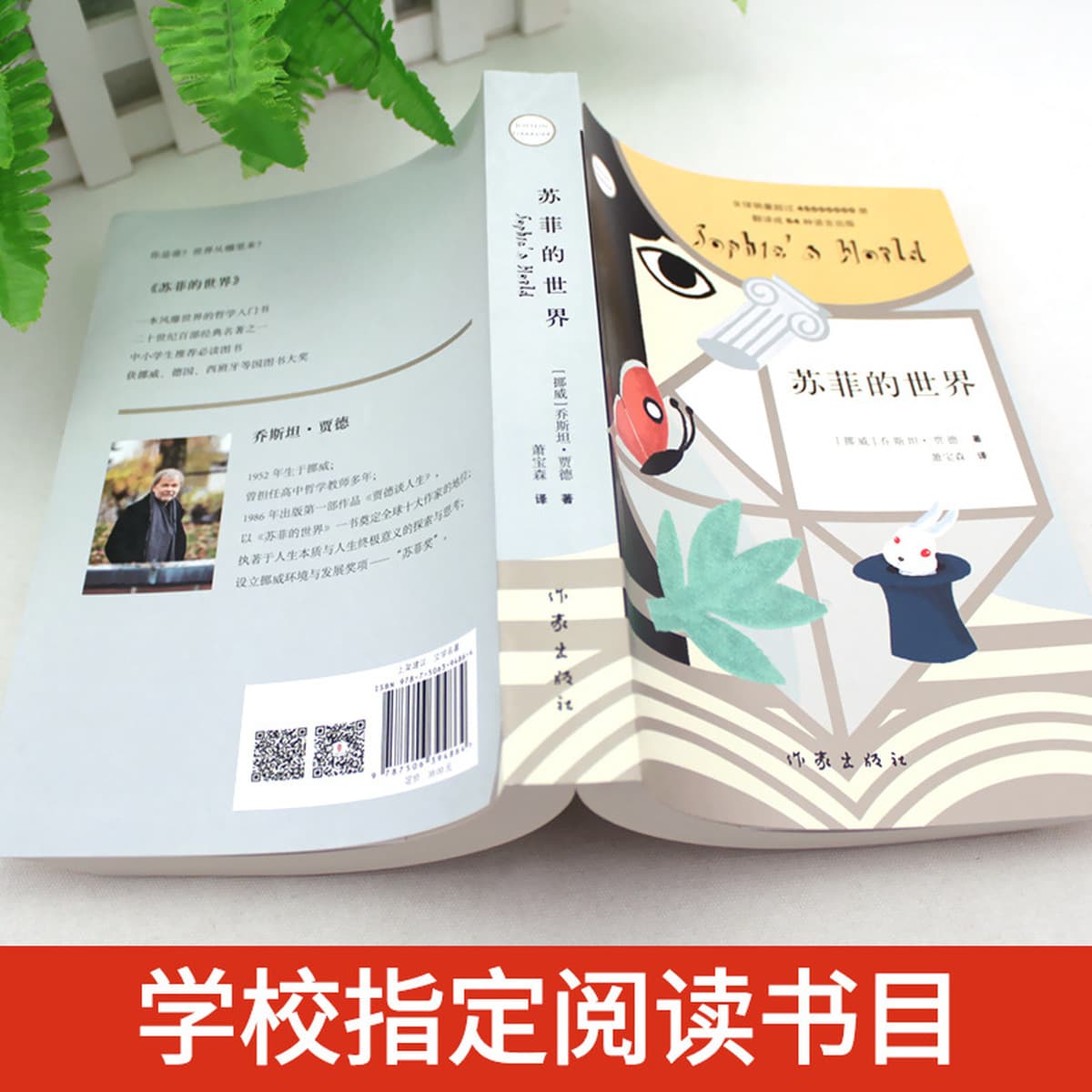 Софи в мире младших классов восьмого класса внеклассное чтение иностранных романов обычный мир Фу Лэй Семья письмо сталь