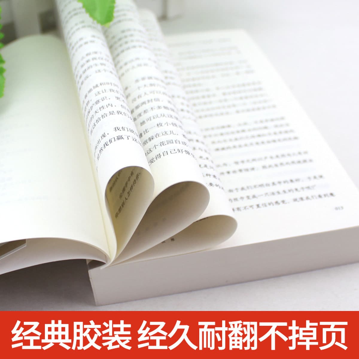 Софи в мире младших классов восьмого класса внеклассное чтение иностранных романов обычный мир Фу Лэй Семья письмо сталь