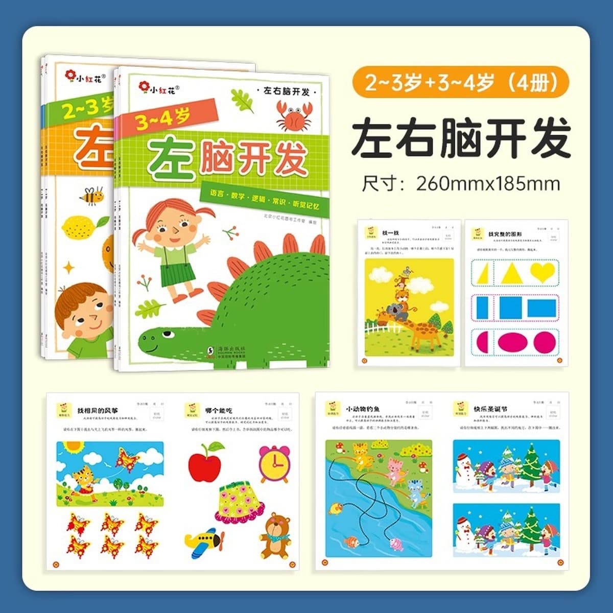 Учебная книга по логике мышления 2-3-4-6 лет 5 головоломок дошкольное обучение