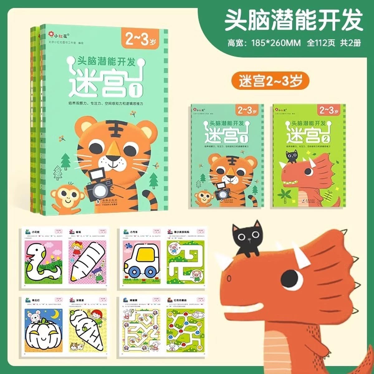 Учебная книга по логике мышления 2-3-4-6 лет 5 головоломок дошкольное обучение