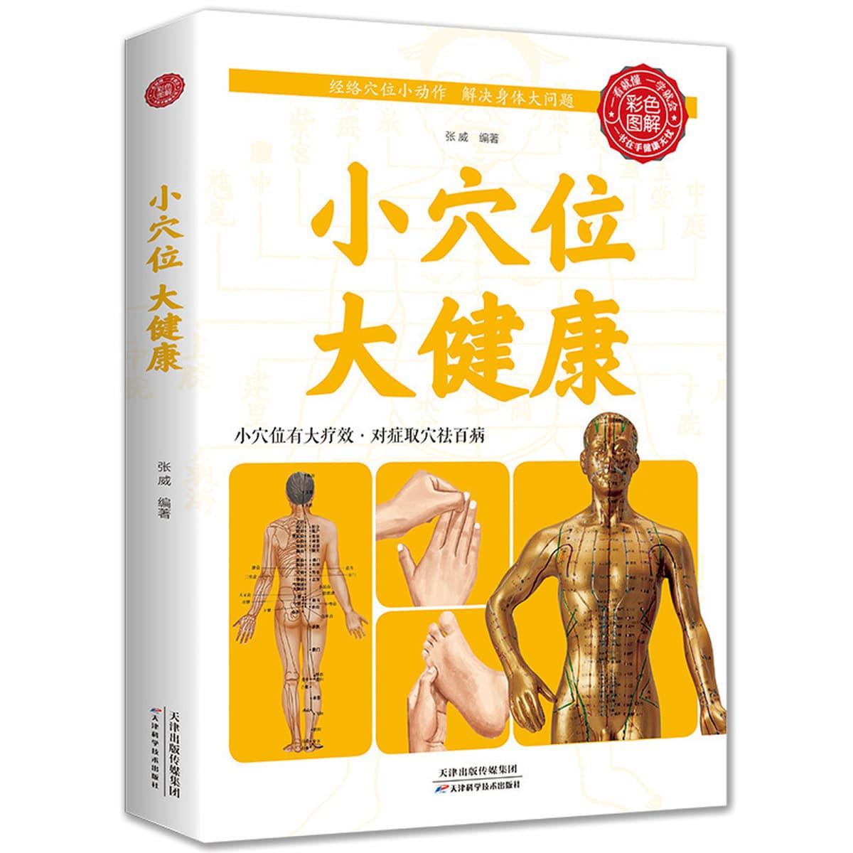 Серия «Здоровье» 83 вида домашних обязательных книг Цветная иллюстрация: как пожилые люди могут жить дольше