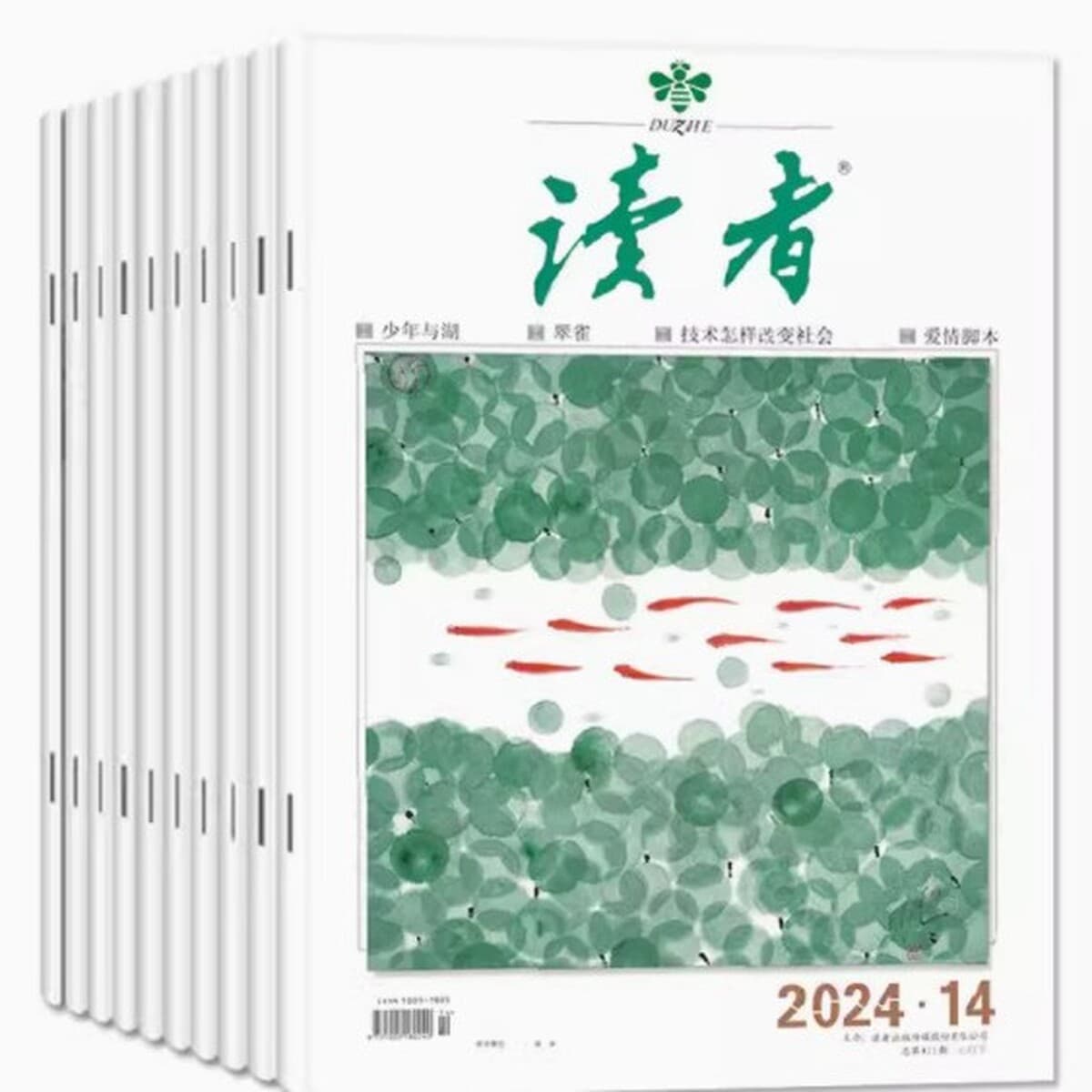Годовая подписка на 25-летние восточные куклы Любопытство