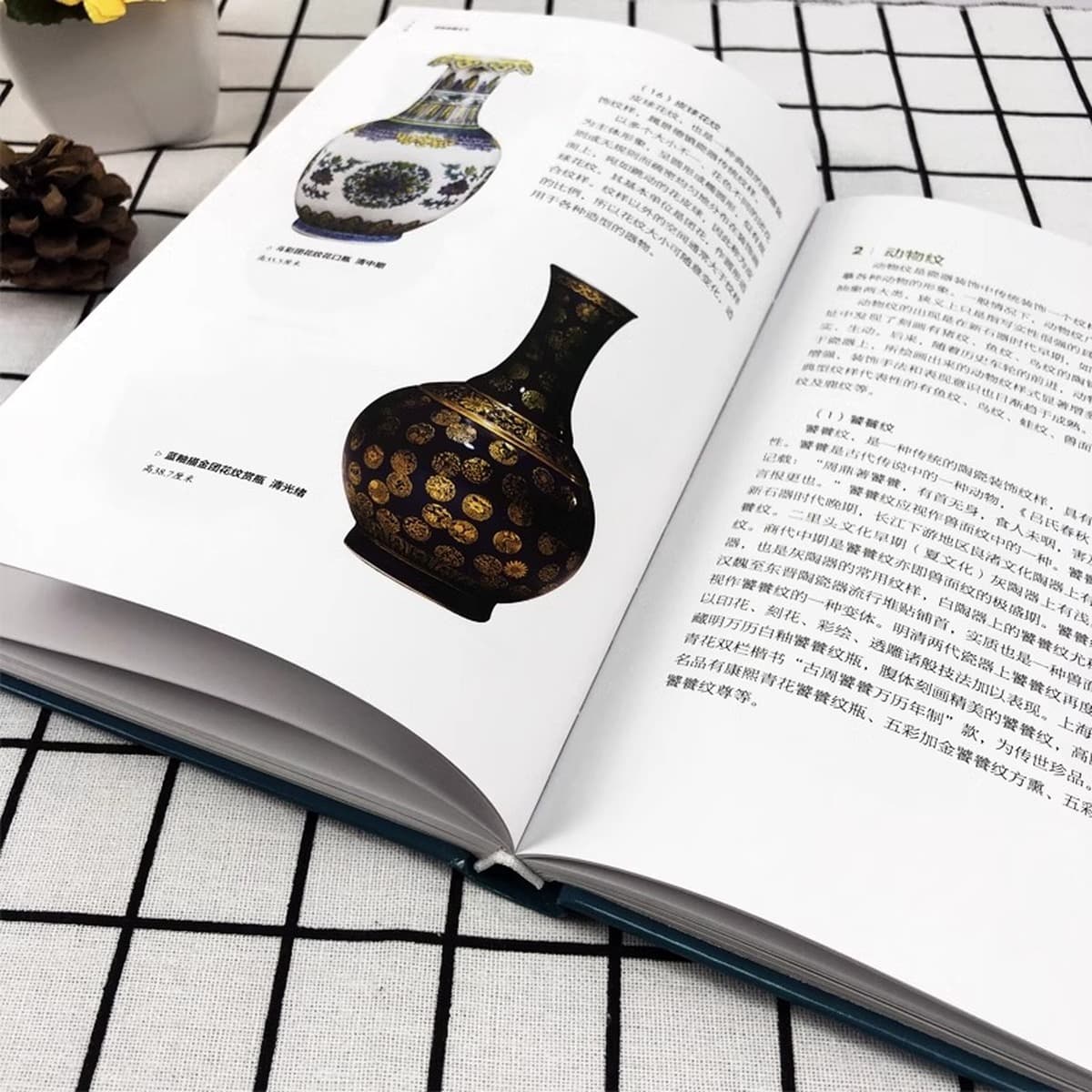 Коллекция фарфора Происхождение и развитие фарфора в твердом переплете