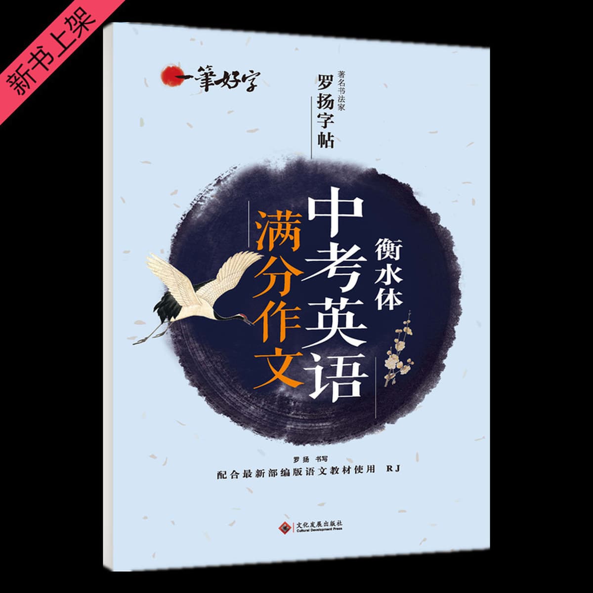 Каллиграф Ло Ян тетрадь студенты практикуют английский язык