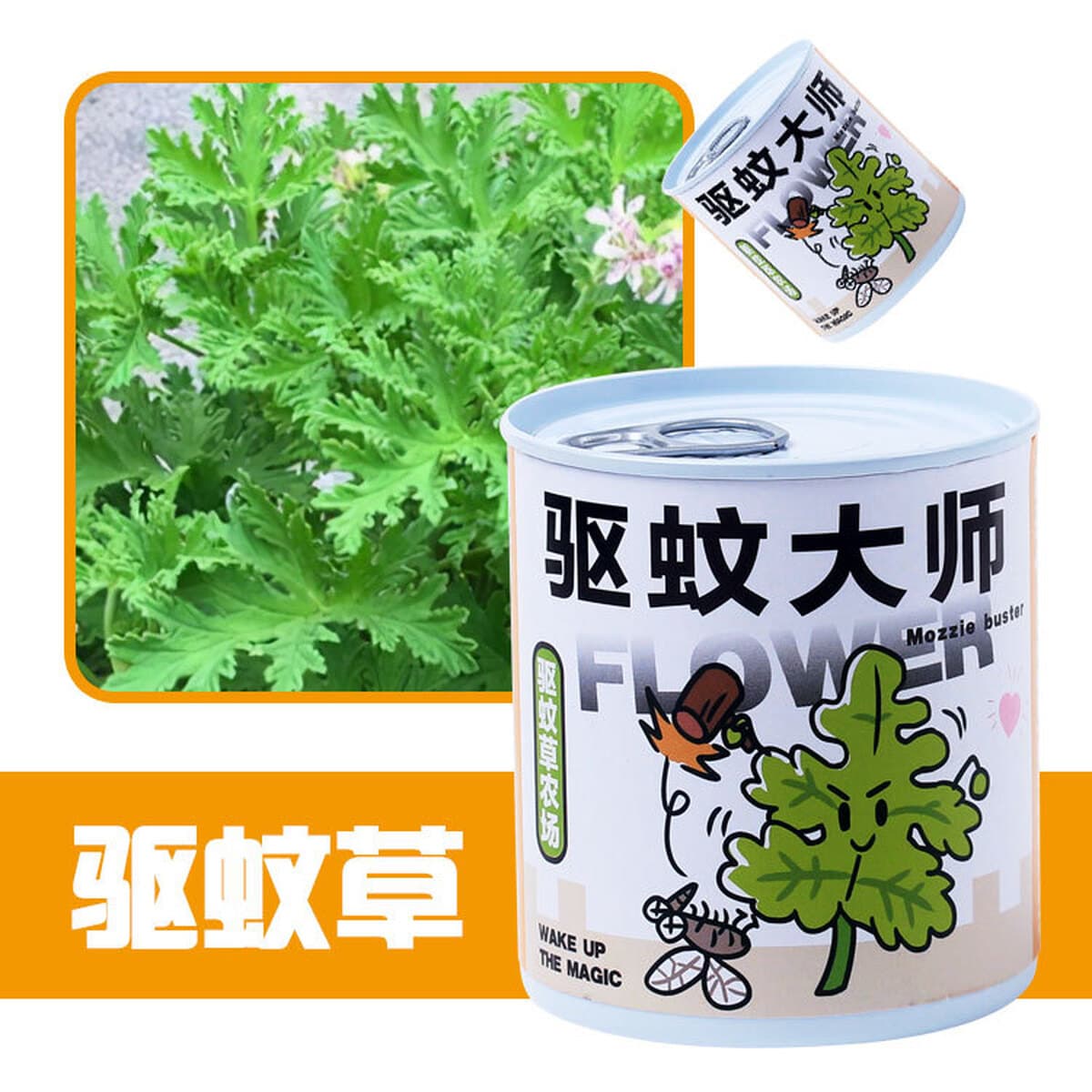 Наборы для выращивания растений в банках, цветы и растения в горшках, подарки для садоводства, выращивание фруктов для...