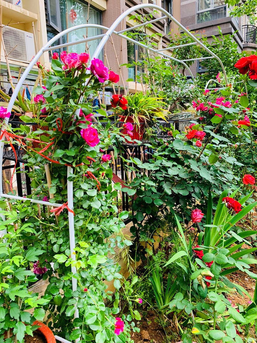 Кованая подставка для цветов для восхождения на виноградную лозу садовая вилла с балконным растительным кронштейном...